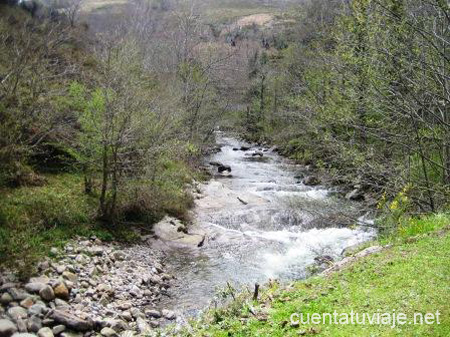 Río Saja. Bárcena Mayor.